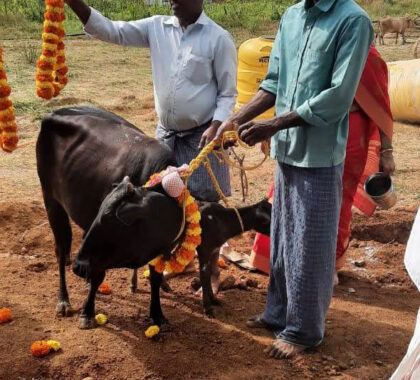 Hatti Gousmanthana Trust