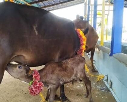 Hatti Gousmanthana Trust